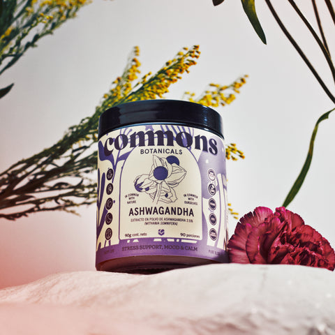 Ashwagandha Extracto