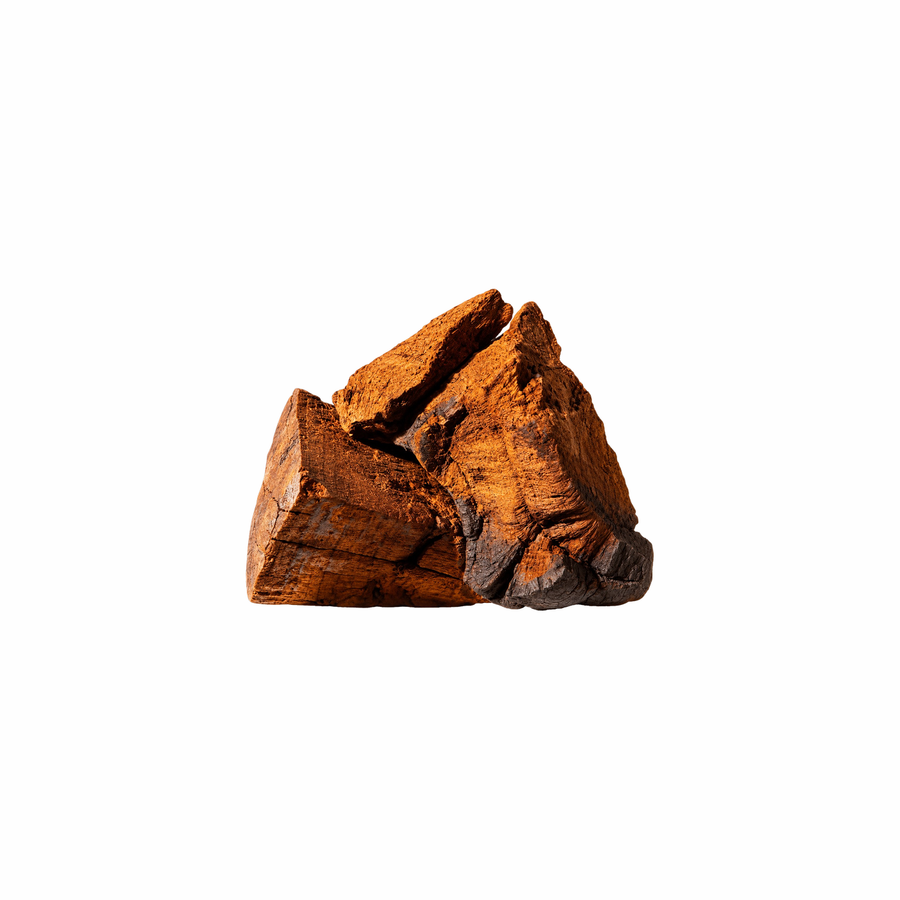 Chaga Extracto