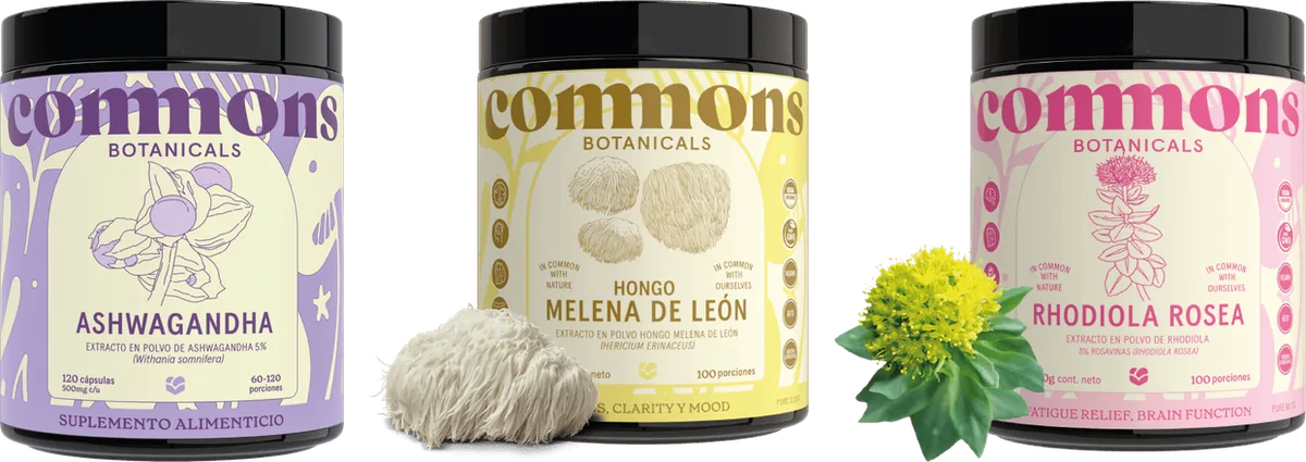 Frascos de Ashwagandha, Melena de León y Rhodiola de Commons
