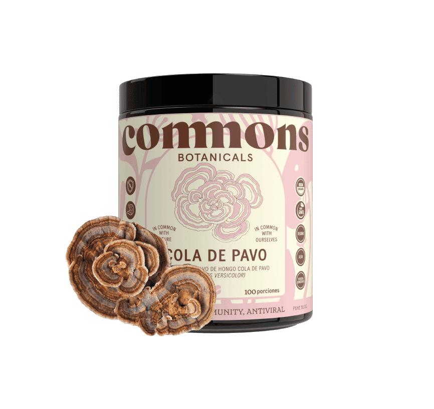 Cola de Pavo Extracto