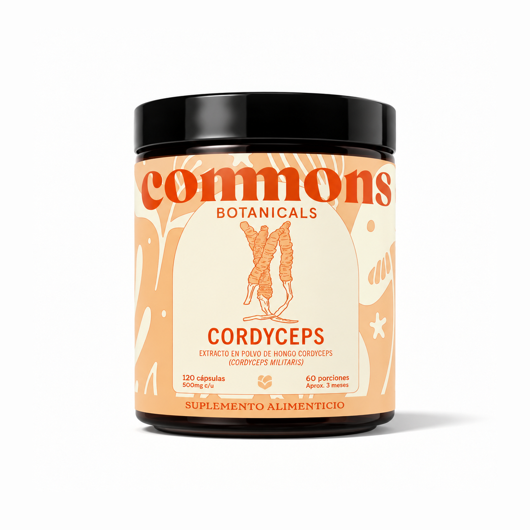 Cordyceps Extracto