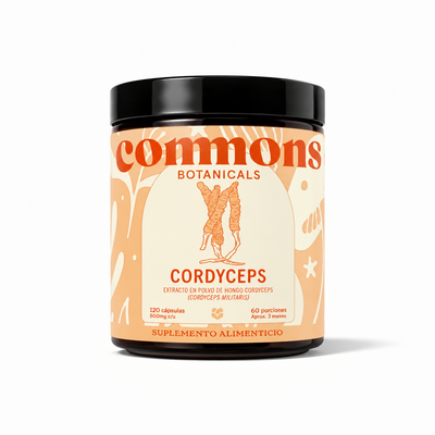 Cordyceps Extracto