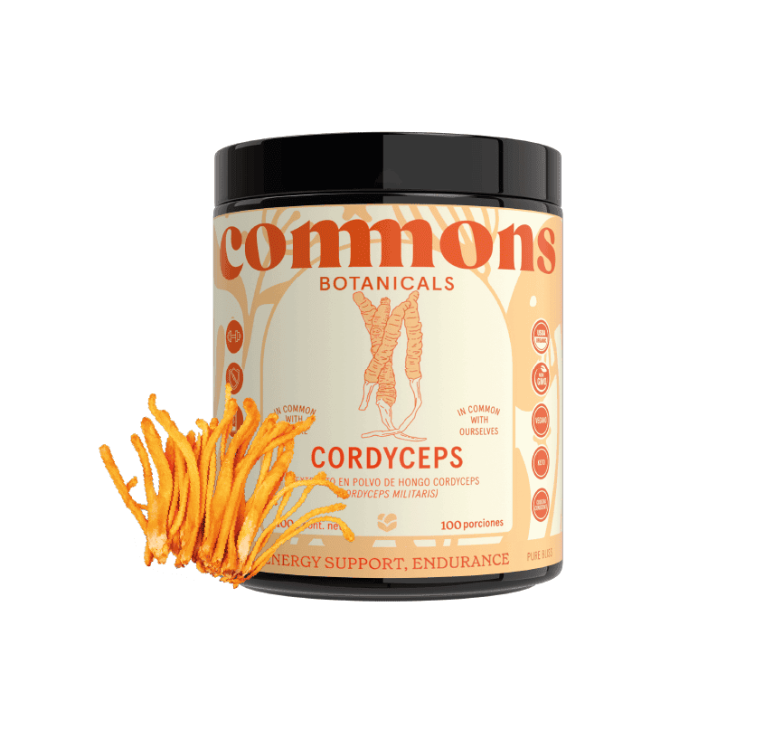Cordyceps Extracto
