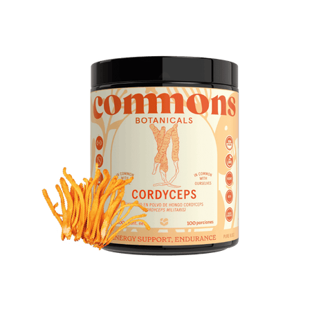 Cordyceps Extracto