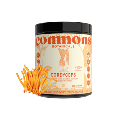 Cordyceps Extracto