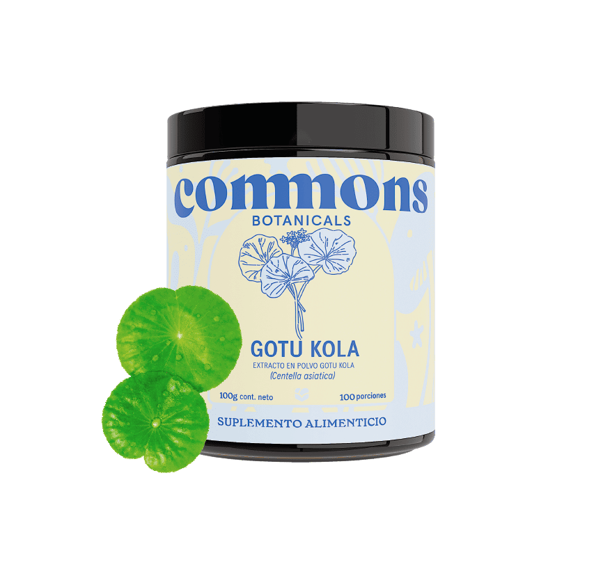 Gotu kola Extracto
