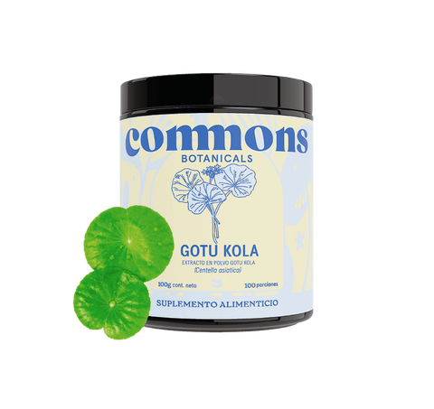 Gotu kola Extracto