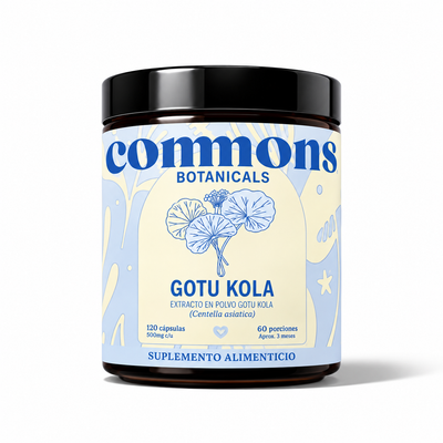 Gotu kola Extracto