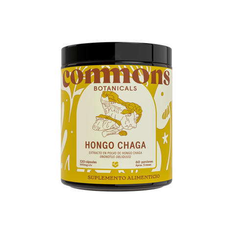 Chaga Extracto