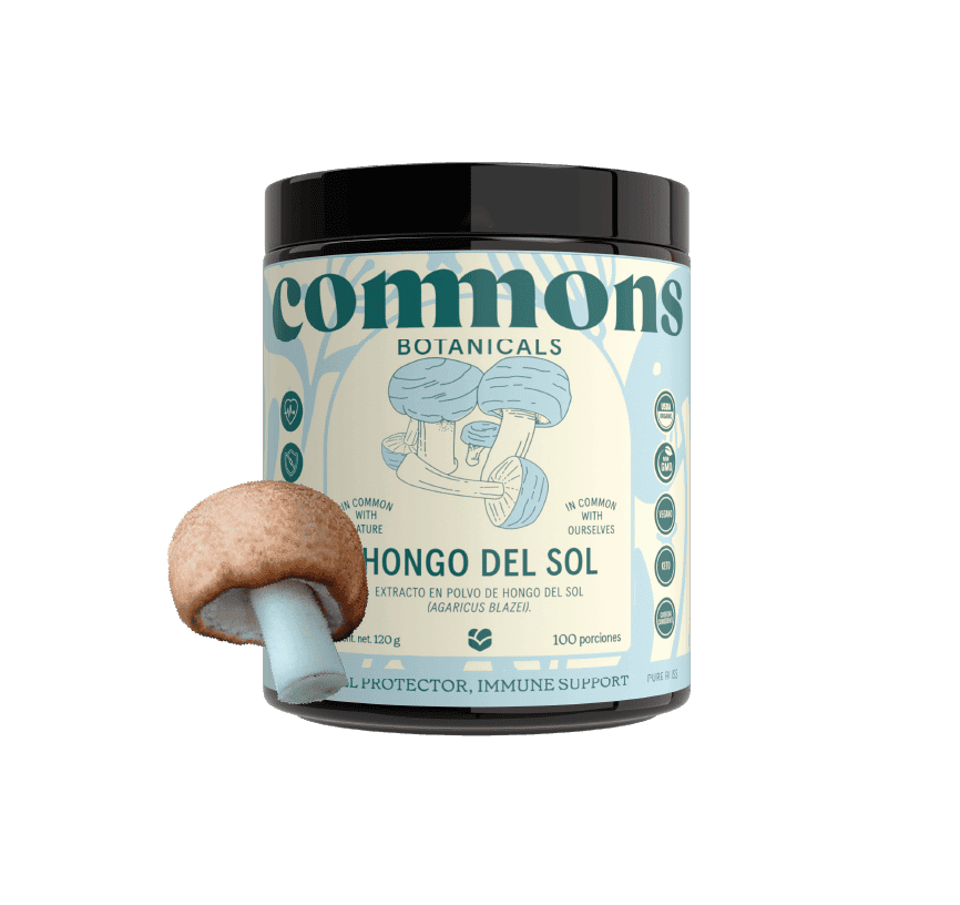 Hongo del Sol Extracto