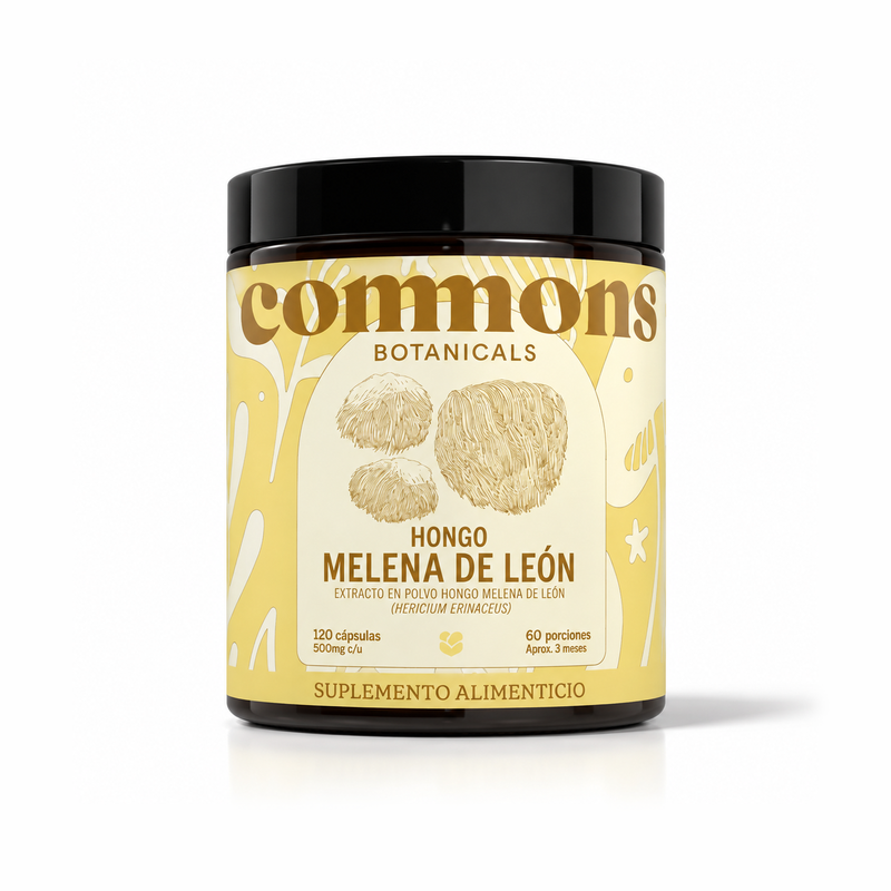 Melena de León Extracto