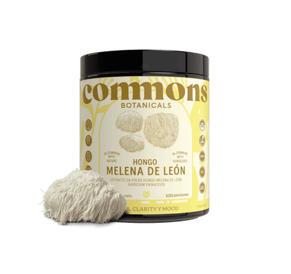 Melena de León Extracto
