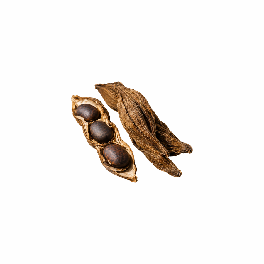 Mucuna Extracto