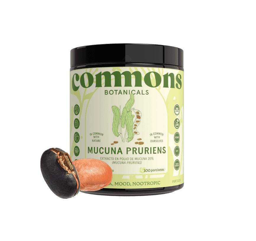 Mucuna Extracto