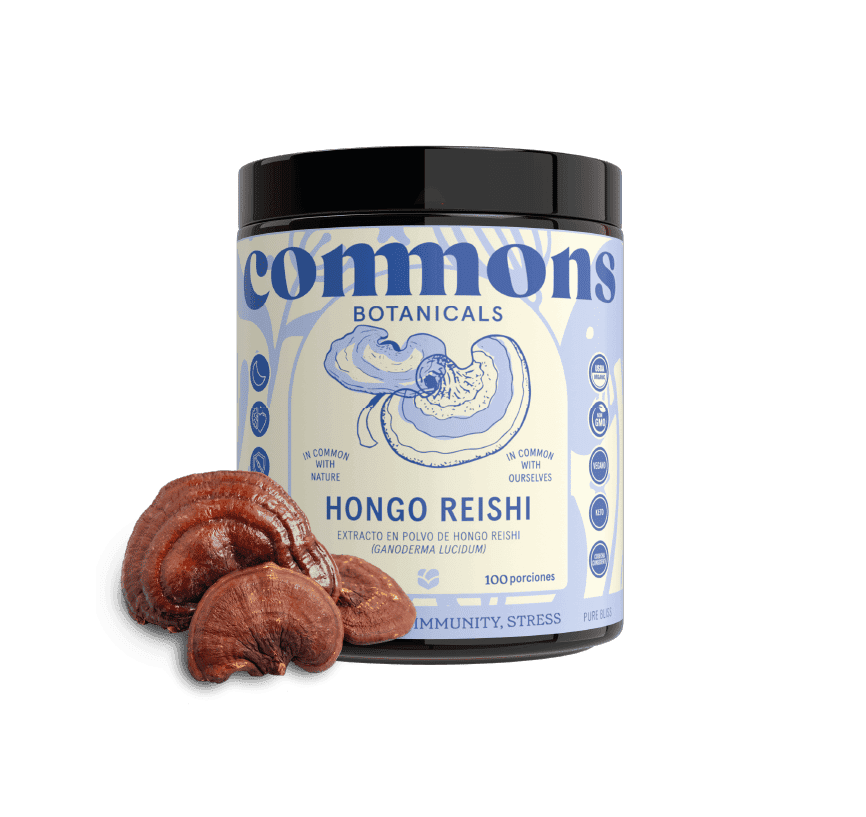 Reishi Orgánico Extracto