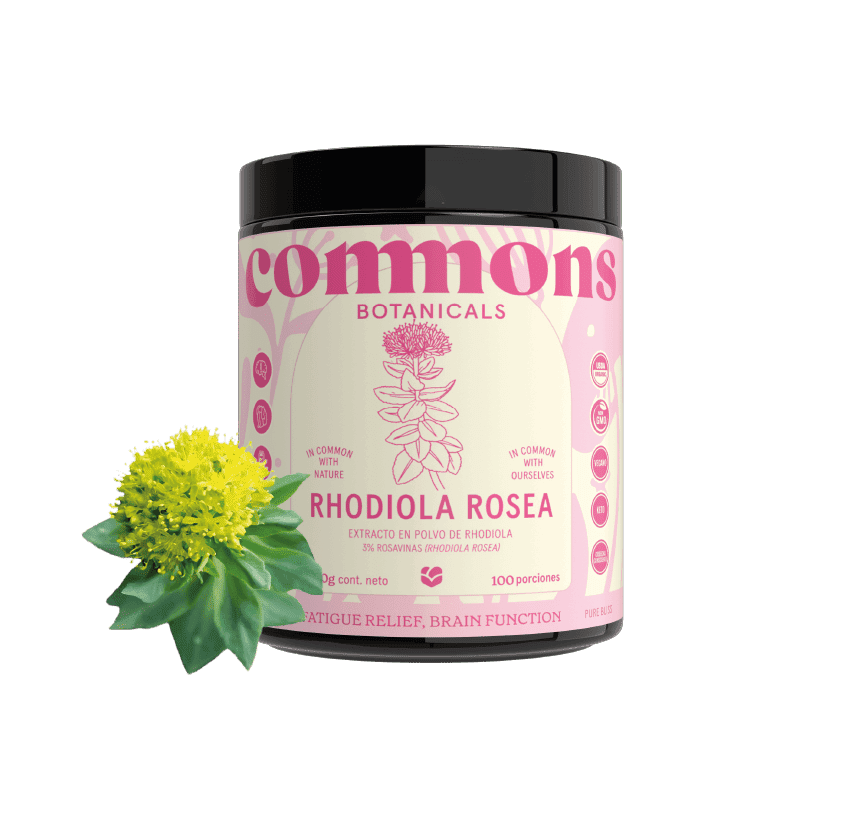 Rhodiola Orgánico Extracto