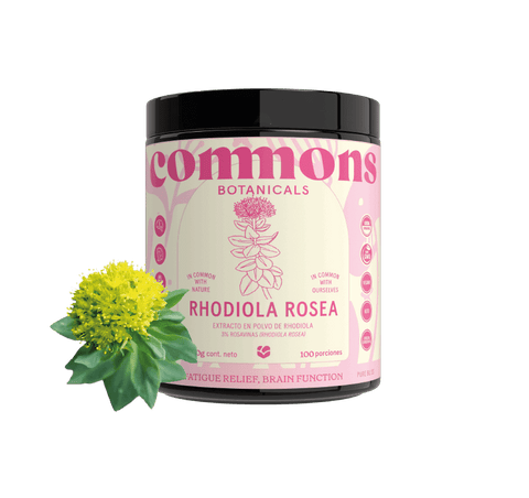 Rhodiola Extracto