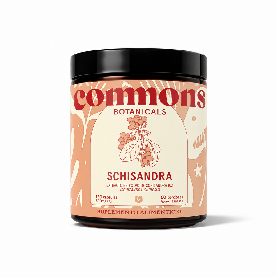 Schisandra Extracto