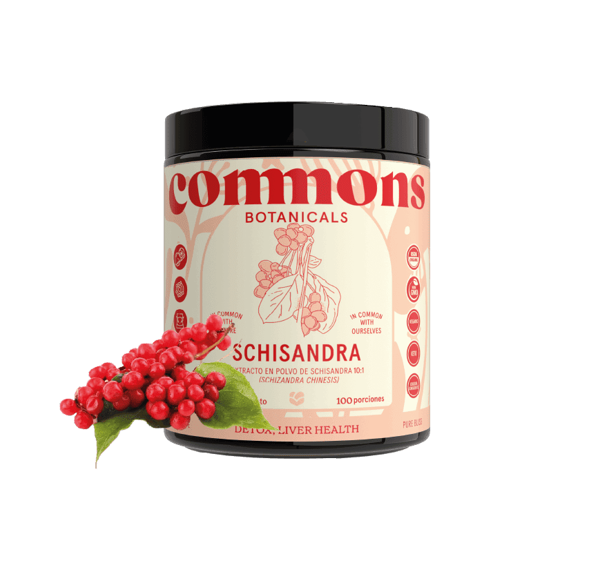 Schisandra Extracto