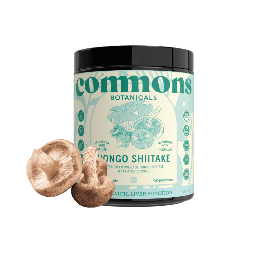 Shiitake Extracto