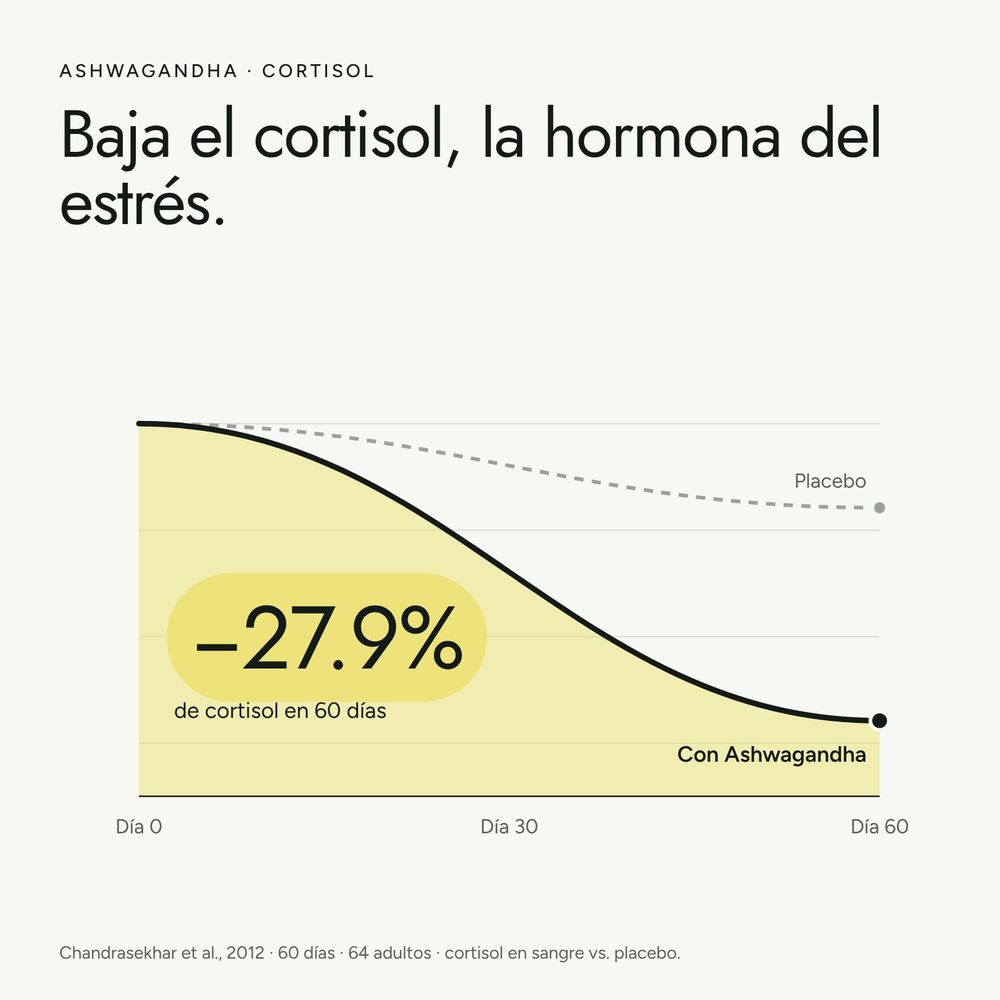 Ashwagandha · imagen 5